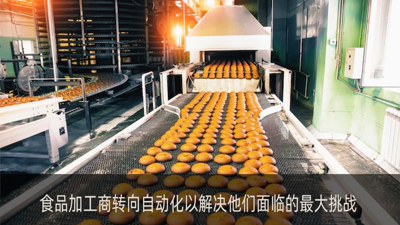 成都小型食品加工设备：价格背后的价值考量