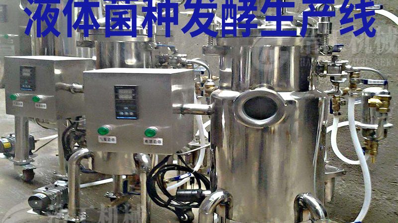 糖果机械与烘焙设备：价格背后的考量因素